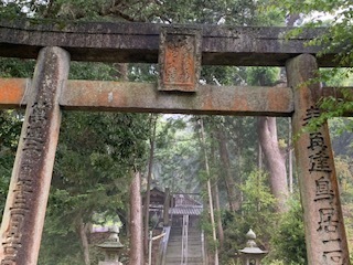 IMG_6179.jpg