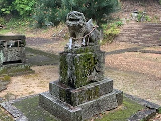 IMG_6182.jpg