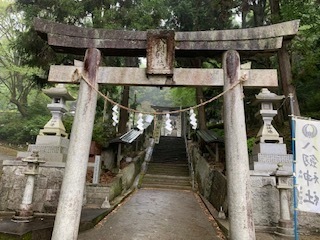 IMG_6186.jpg