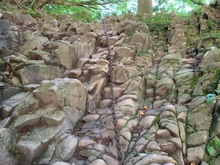 IMG_7417.jpg