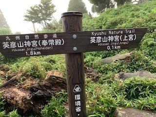 IMG_7433.jpg