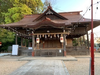 IMG_9379.jpg